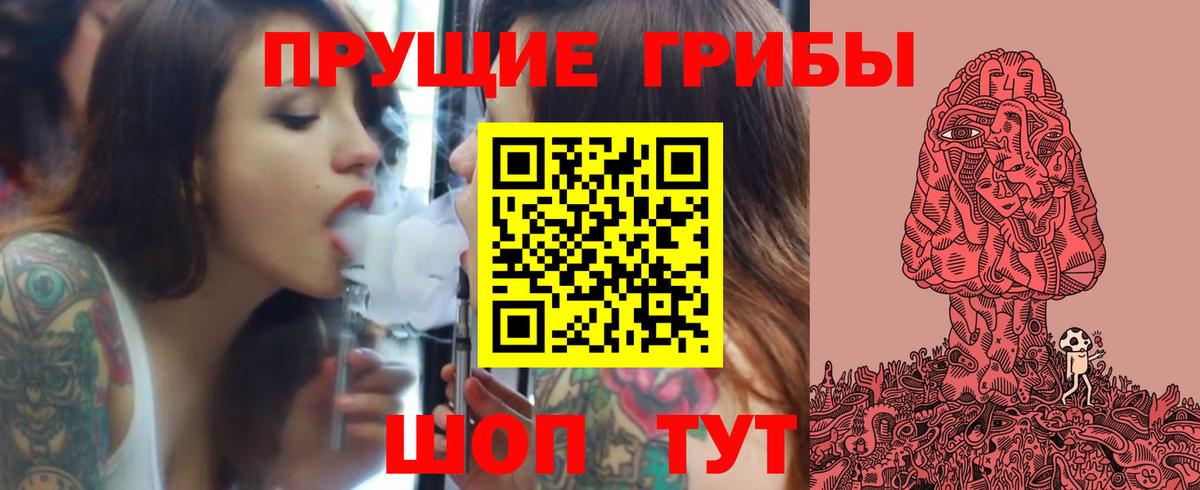 Псилоцибиновые грибы Psilocybine cubensis Саянск